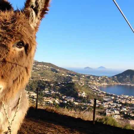 Bed & Breakfast Al Numero Zero 4*