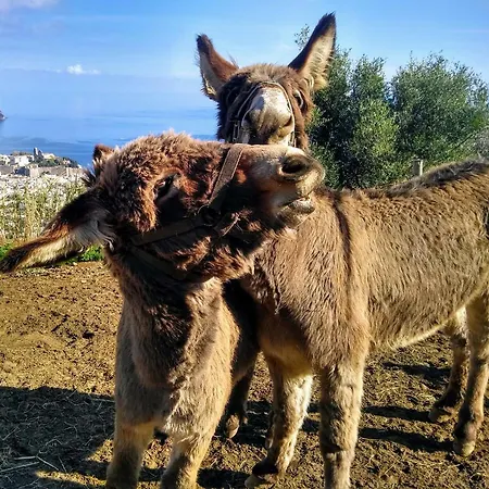 Bed & Breakfast Al Numero Zero