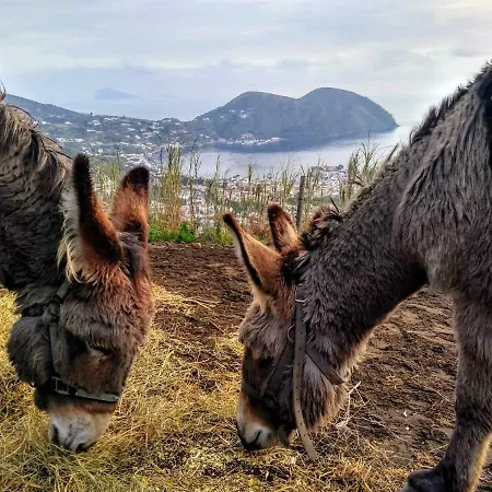 Al Numero Zero Bed & Breakfast