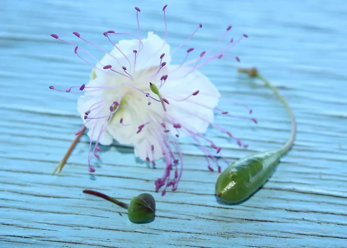 Al Numero Zero Città di Lipari