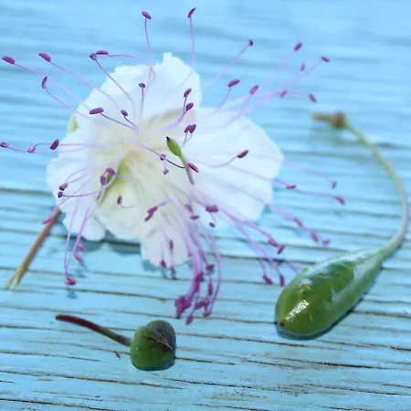 Al Numero Zero Липари