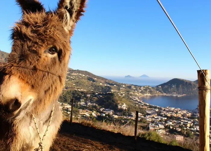 Frühstückspension Al Numero Zero 4*