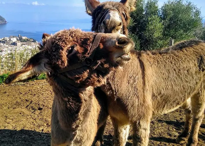 Bed & Breakfast Al Numero Zero