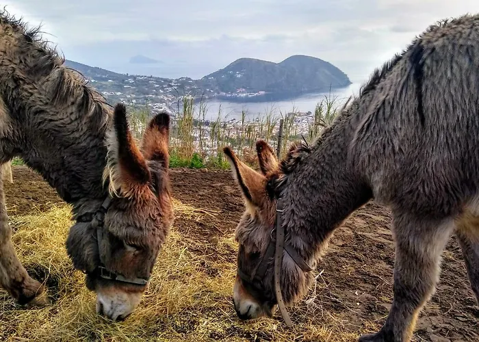 Al Numero Zero Frühstückspension