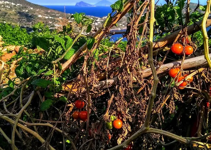 Frühstückspension Al Numero Zero 4*